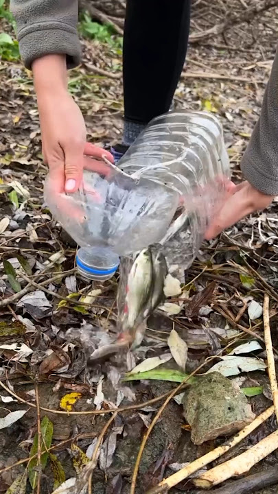 Membuat Perangkap Ikan Dari Botol Plastik #perangkapikan #kreatif #tutorial