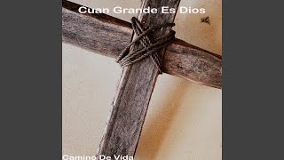 Video thumbnail of "Camino De Vida - La Tierra Canta - Camino De Vida"