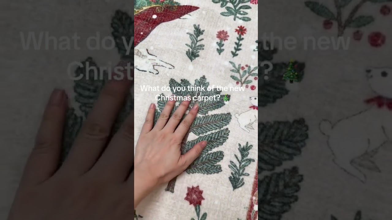 Our New Christmas Carpet — Thoughts? ✨ 