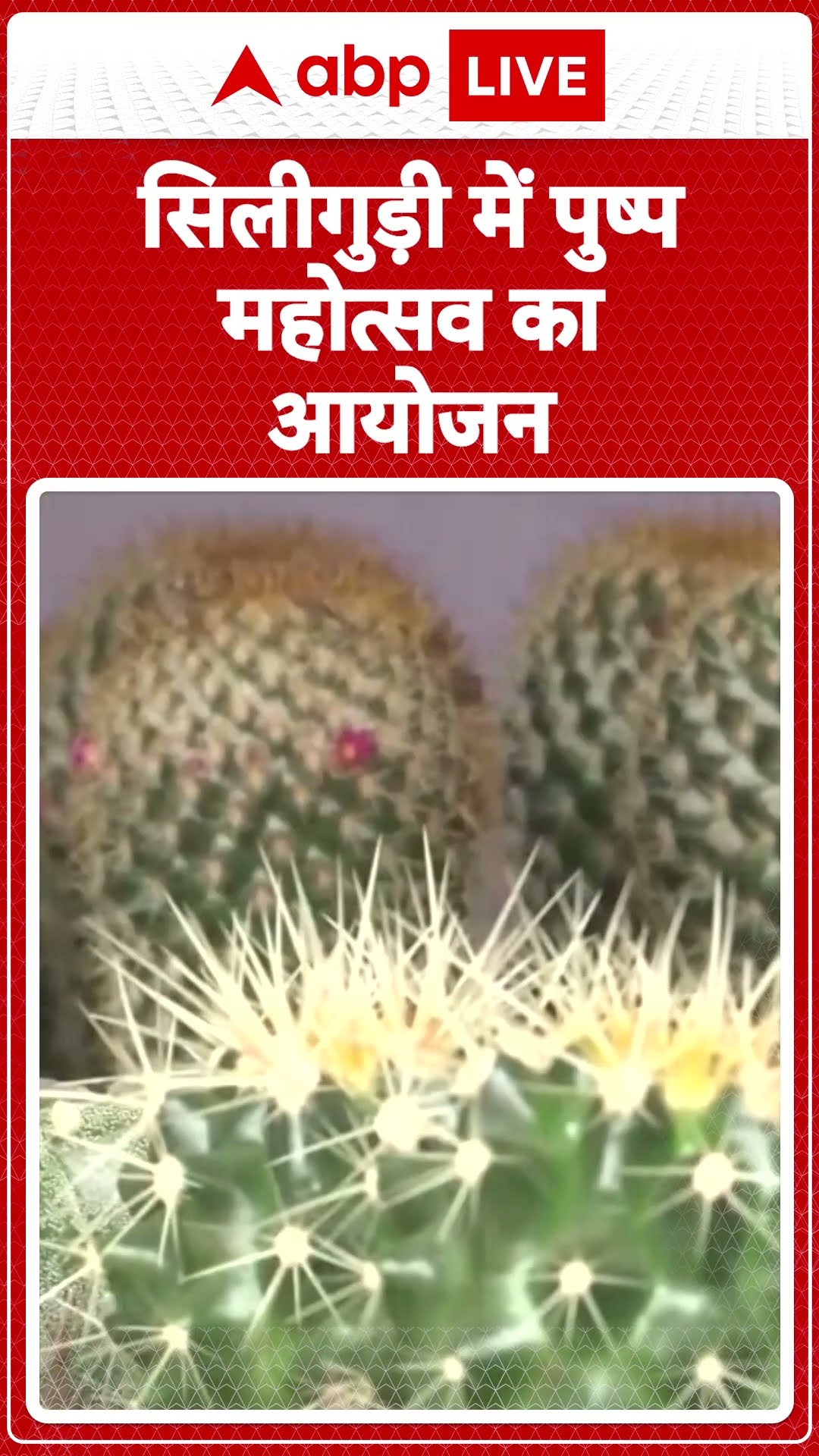 Siliguri में पुष्प महोत्सव का आयोजन..दर्शकों को देखने को मिल रहे अलग-अलग प्रजाति के फूल | ABP LIVE