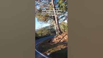 A gentle reminder:  Take a break.Puntahan mo na yung gusto mong puntahan #travelmemories #travel