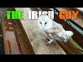 Bird of Prey Centre &amp; Aillwee Caves Tour - The Irish Guy Vlogs