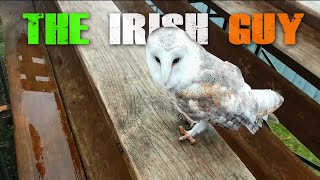 Bird of Prey Centre &amp; Aillwee Caves Tour - The Irish Guy Vlogs