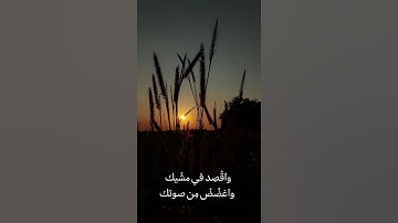 تلاوه هادئة تريح الأعصاب 🎧😴القارئ :مصطفى جبل