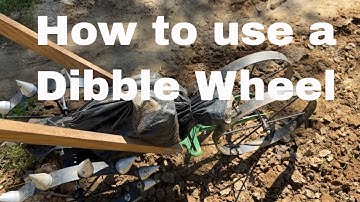 Unbelievable! Discover the 