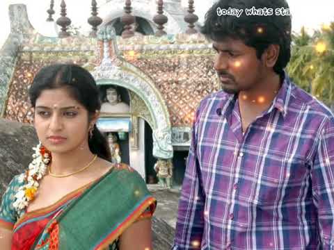 manam kothi paravai bgm