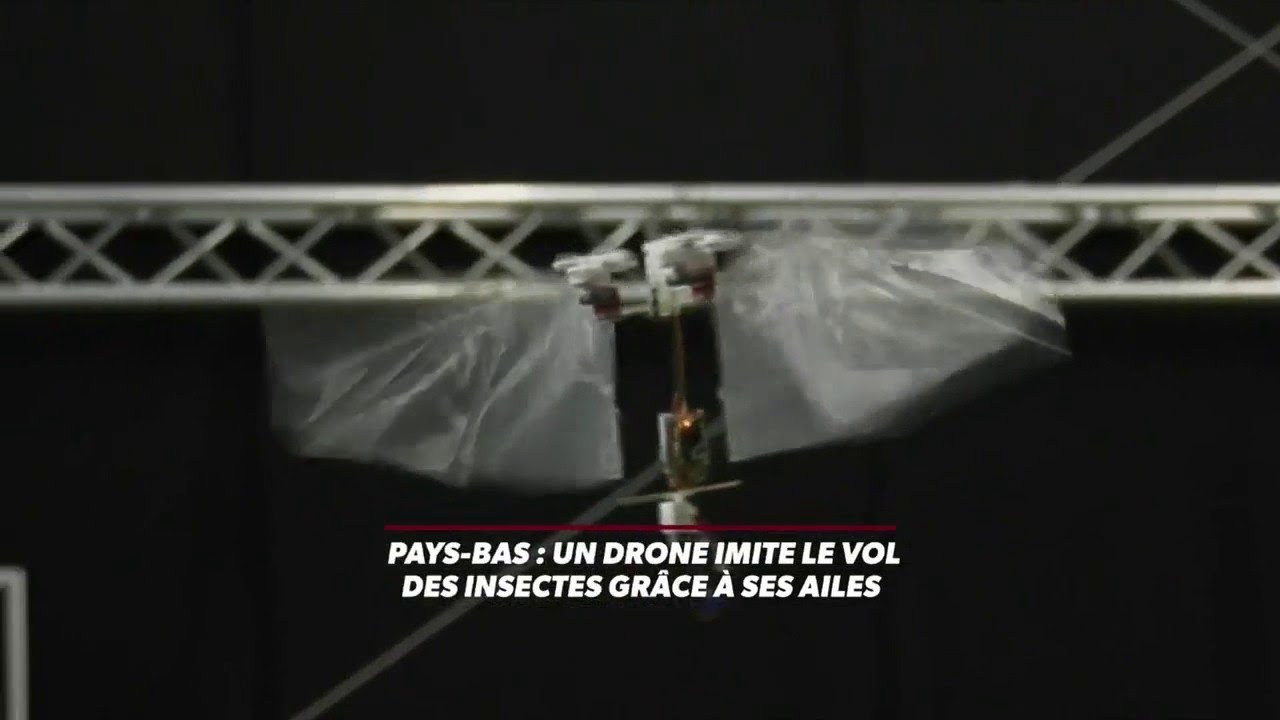 Ce drone "imite" le vol d'un insecte