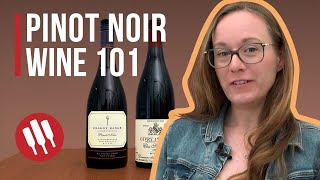 Pinot Noir (Everything you need to know) | Grapes 101