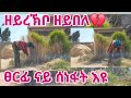 ዋይ ክንዲ ዝመኸርኹስ ፀርፊ ልቦና ይሀብኸን Abebachanal1036 Munatube2861 Selamtsegaysmile9152