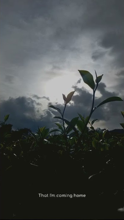 Story WhatsApp-I'am Coming Home