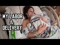 My labor and delivery  jess  rich