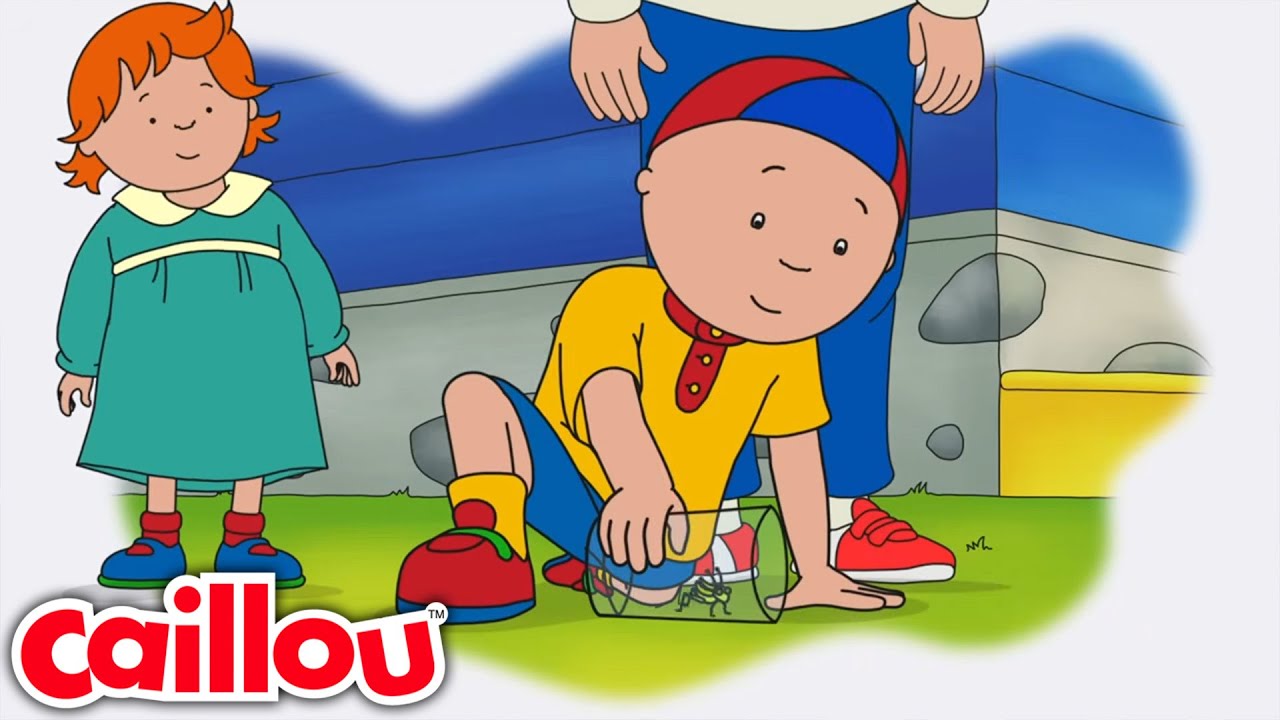 Caillou's Cricket | Caillou Compilations - WildBrain | Cartoons for kids