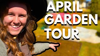 April Garden Tour. Cold Climate Gardens Can Be Exciting! by Gardening In Canada 4,637 views 9 days ago 13 minutes, 33 seconds