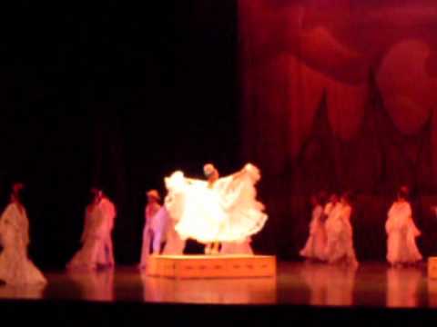 Fiesta en Tlacotalpan por el Ballet Folklorico de ...