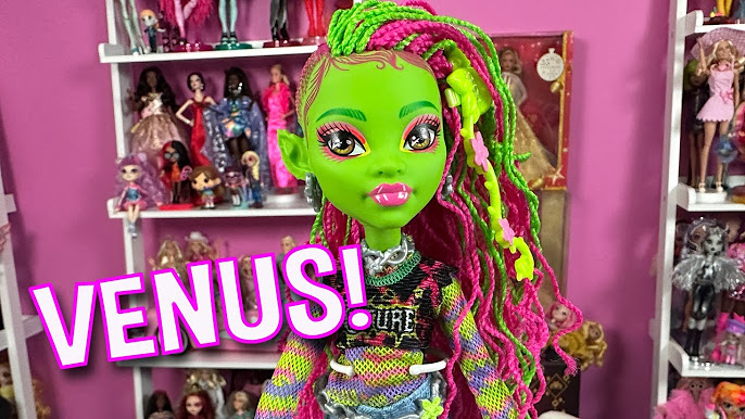 A Gift From The New Surprise Doll Monster High Dolls G3 Abbey