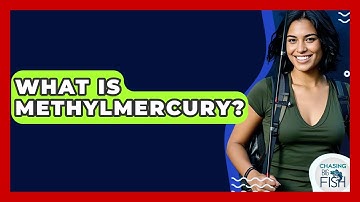 What Is Methylmercury? - Chasing Big Fish
