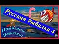 Русская Рыбалка 4 *🚨Потурим и пообщаемся!🚨 + 😝ПОМОГАЕМ НОВИЧКАМ!😝*