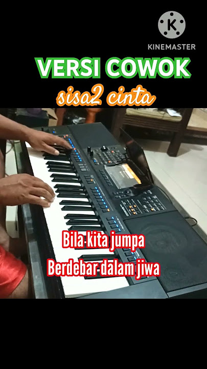 Versi cowok F sisa sisa cinta || karaoke dangdut