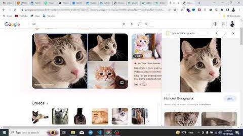 jQuery Bangla Tutorial [#8] jQuery Animate