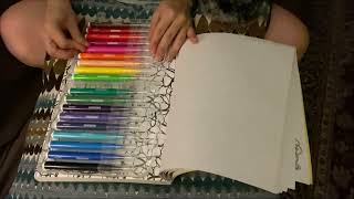 Video Review: Watercolor Markers by Honest Reviews by Christina 77 views 1 year ago 2 minutes, 49 seconds