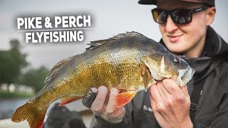 Flyfishing For Big Pike & Perch  Tips And Tricks