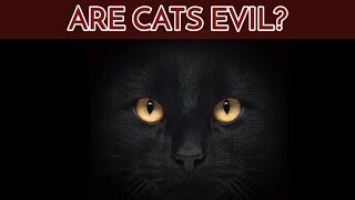 Are cats evil A must watch!