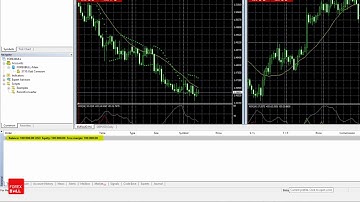 ForexBull.com- Meta Trader4 Tutorials- Terminal Window Details