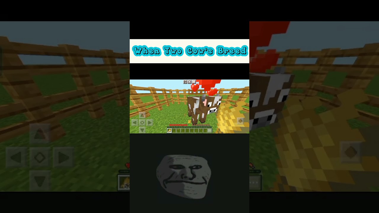 When Two Cow's Breed | Troll Face Meme |