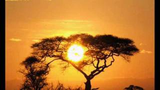 Musica Feliz - Here Comes the Sun