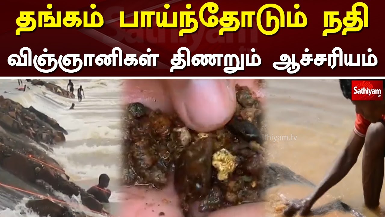 தங்கம் பாய்ந்தோடும் நதி - விஞ்ஞானிகள் திணறும் ஆச்சரியம் | Gold | River | Web Special | Sathiyam Tv