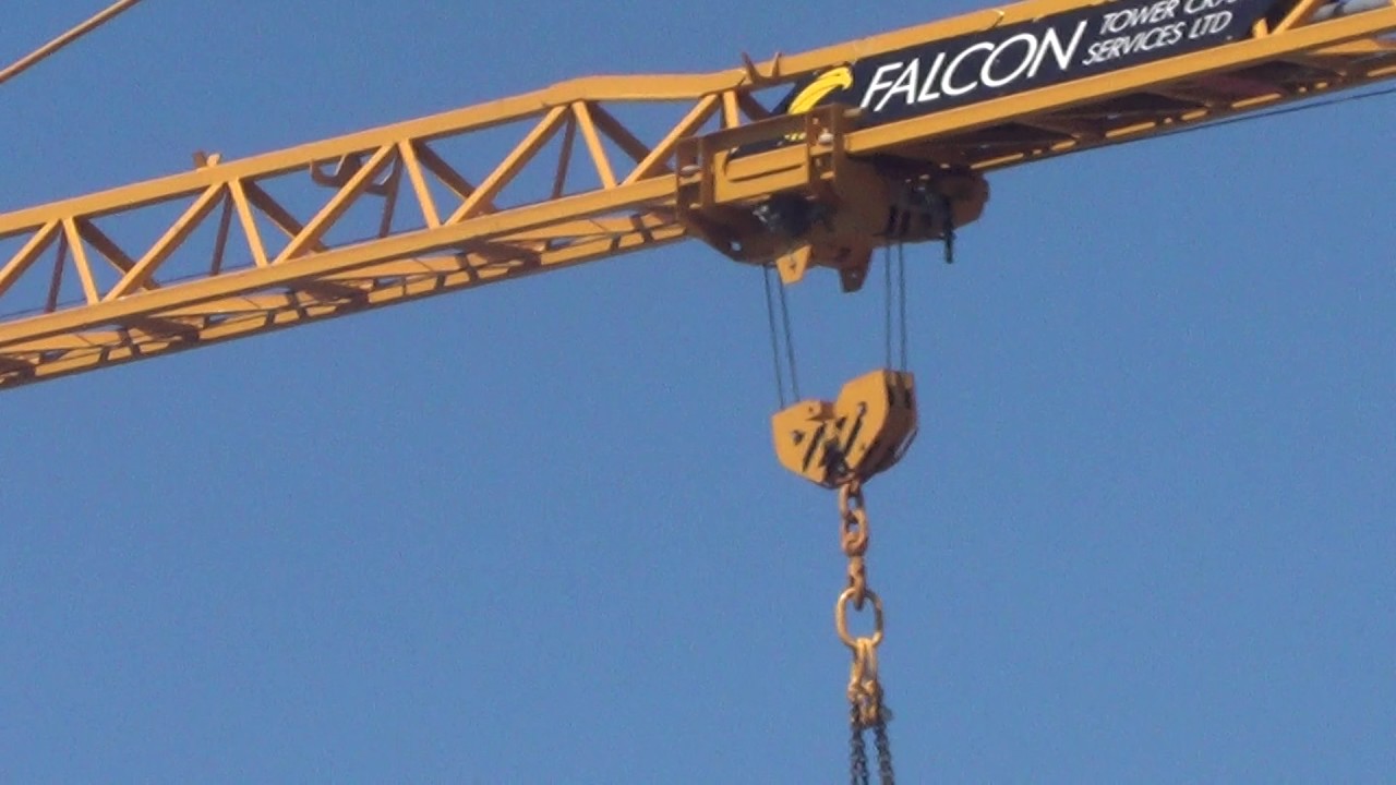 a falcon who chases a warlike crane