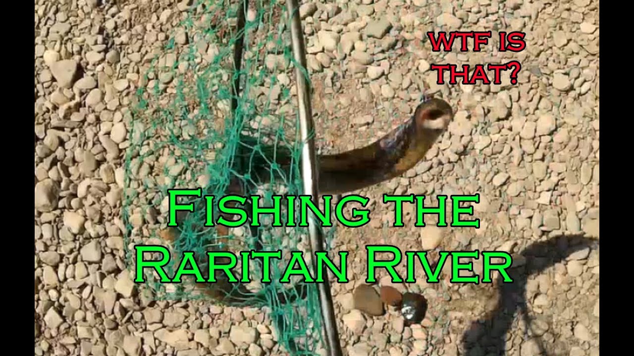 Fishing the Raritan River YouTube