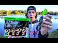 Is This Is My New Favorite Googan Bait? (Fish Magnet)