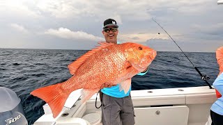 HUGE Snapper | Off shore fishing (Catch Clean Cook)
