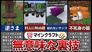 マイクラ Ps3 裏ワザ マイクラ Ps3 裏ワザ