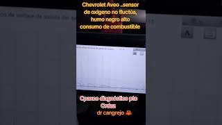 Chevrolet Aveo alto consumo de combustible, humo negro
