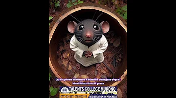 Inspiring Luganda Stories The Gready Mouce That Fell In A Calabash 