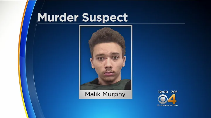 Teen Arrested In Stabbing Deaths Of Brother, Sister