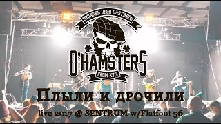 O'HAMSTERS - Плыли и дрочили (live @ SENTRUM, Kyiv w/Flatfoot 56)