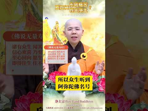 要如何永离痛苦 得生净土？ | 净平法师 开示 | 净土宗经句法语分享[18]