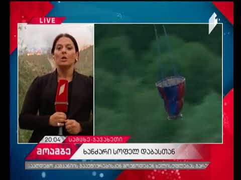 ხანძარი ბორჯომის ხეობაში - სოფელ დაბასთან ტყე იწვის