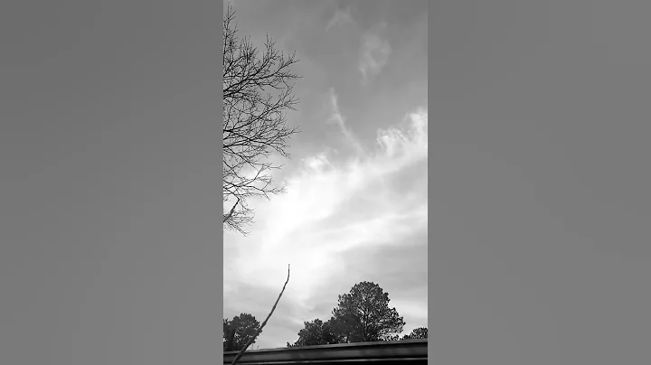 01/25/2019