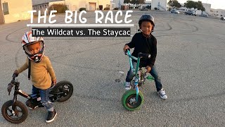 The Wildcat Mini Vs. The Stacyc
