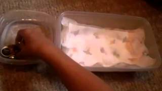 How to bathe hermit crabs!