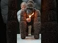 I Made a Gorilla From Matchsticks… Then Burned It 🔥
