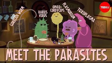 How brain parasites change their host