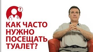 Как часто нужно ходить в туалет? Доктор Нога | Вопрос Доктору Как часто нужно ходить в туалет? Доктор Нога | Вопрос Доктору