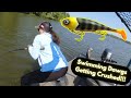 Epic musky action using swimming dawgs