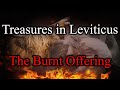 Treasures in leviticus the burnt offering leviticus 119  thursday may 2nd 2024