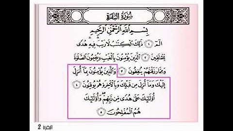 اتقان تلاوة سورة البقرة للمبتدئين الايات 4-5 القارئ : محمد رزق (ابو أبواهيم الشامي)
